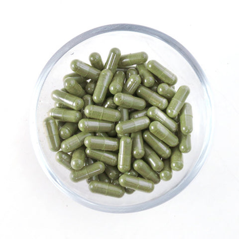 Gynura Procumbens Blood Sugar Support