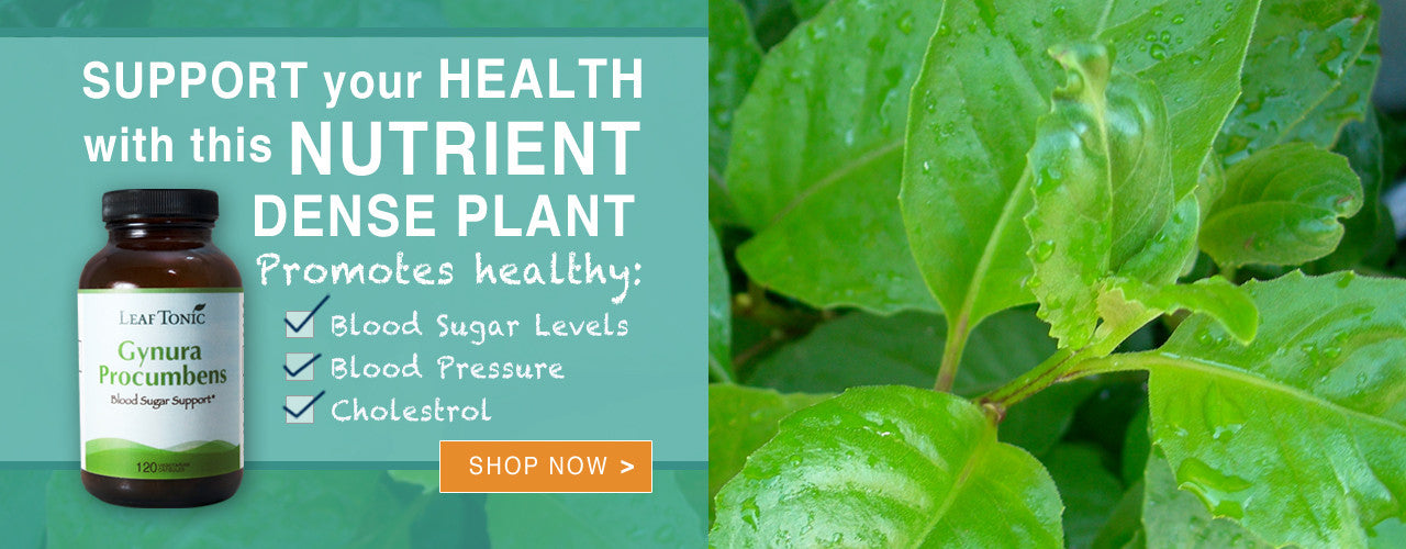 Gynura Vegetable Supplement