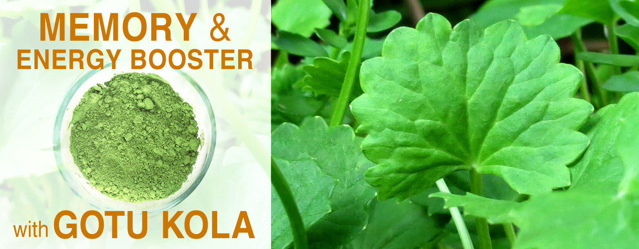Gotu Kola Powder