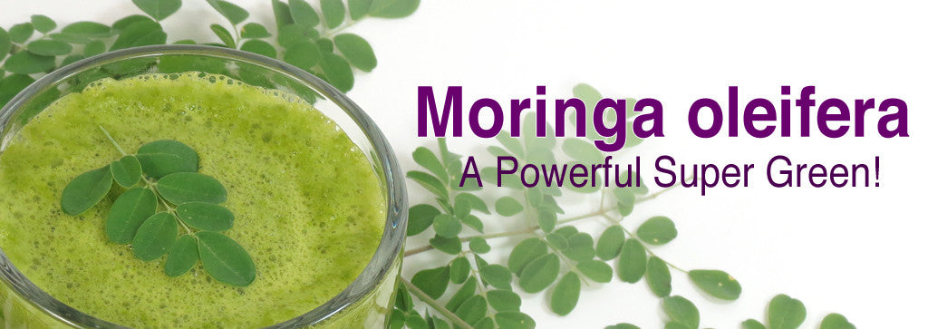 Why Is Moringa A Super Green?